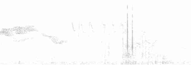 Kehlstreifenyuhina - ML155334901