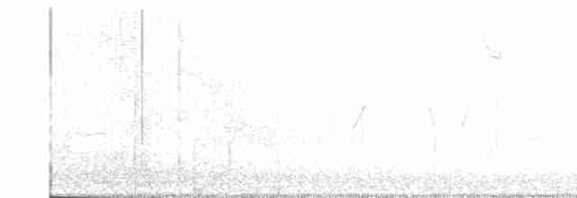 Prairie Warbler - ML155339831