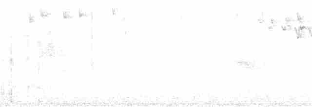 Золотомушка жовточуба (підвид azoricus) - ML155351031
