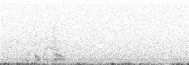 Azores Bullfinch - ML155352461
