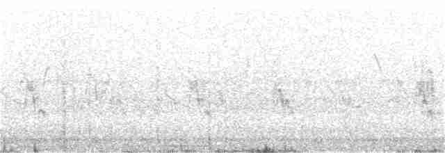 "Канарский вьюрок, дикая канарейка" - ML155379891