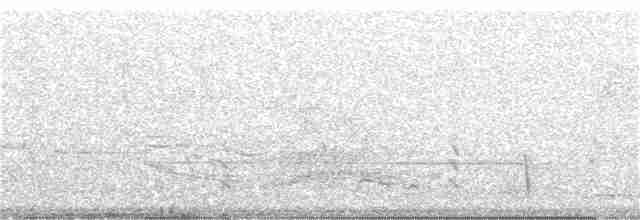 Hume's Bush Warbler - ML155481691