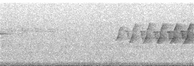 Kauai-Akepakleidervogel - ML155553061