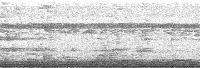 Gray Nightjar - ML155590571