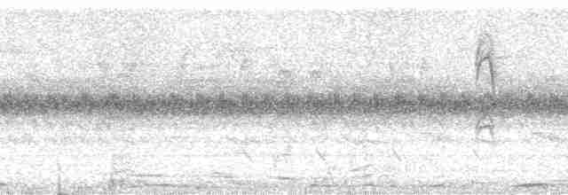 Принія білогорла - ML1557