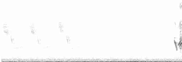 Kara Başlı Kocabaş - ML155707181