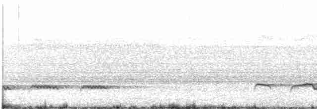 Büyük Atmaca Guguğu - ML155767521
