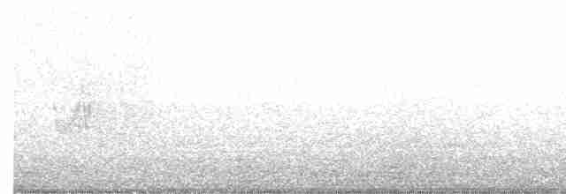 Savanna Nightjar - ML155790081