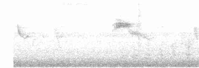 Gray-streaked Flycatcher - ML155802821