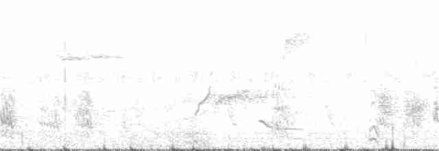 Malabar Gray Hornbill - ML155847681