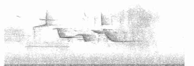 Eastern Meadowlark - ML155895261