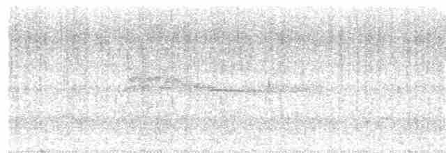 Патагонский мухолов - ML155928871