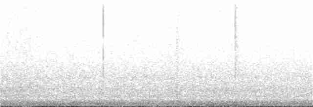 Loxopse de Kauai - ML155967451
