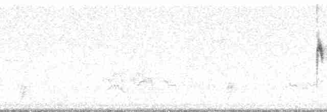 Белогорлая зонотрихия - ML15597