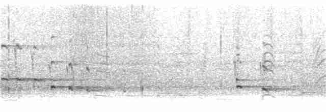 orel bělohlavý - ML156030041