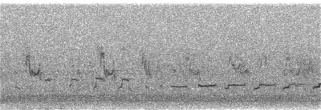 Common Redshank - ML156235701