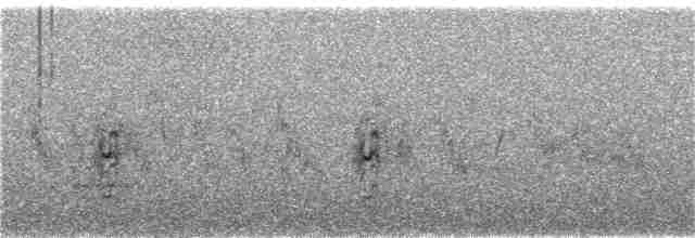 Little Tern - ML156240551