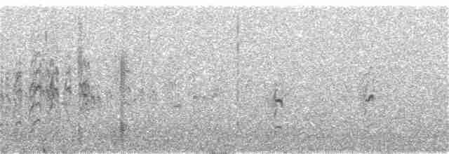 Little Tern - ML156240591