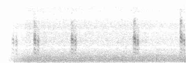 Balearengrasmücke - ML156242631