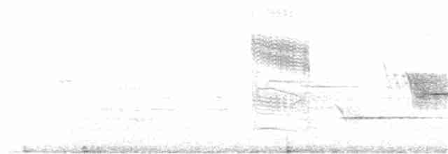 Голубокрылая червеедка - ML156244001