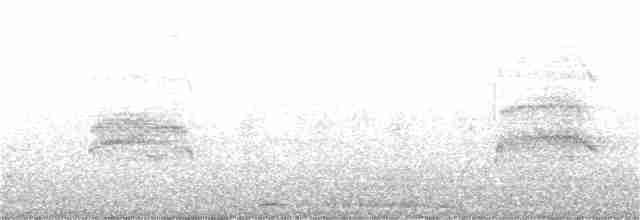 White Tern - ML156267951