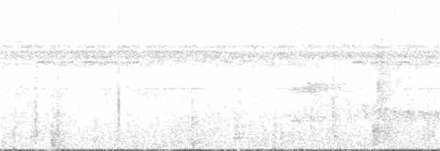 White-flanked Antwren - ML156335461
