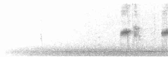 Wedge-tailed Sabrewing - ML156356951