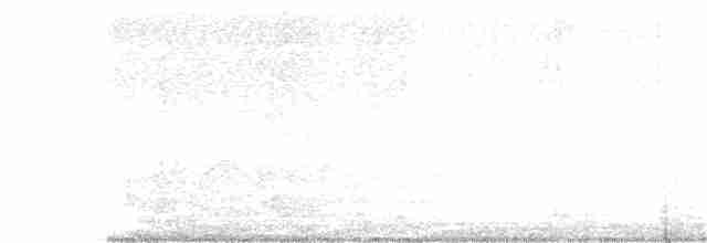 White-eyed Vireo - ML156361311