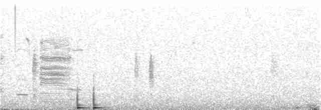 Paruline à couronne rousse (palmarum) - ML156369091