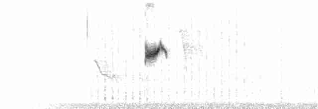 Белокрылая вдовка - ML156481521