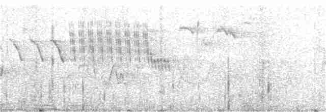 Cerulean Warbler - ML156489771