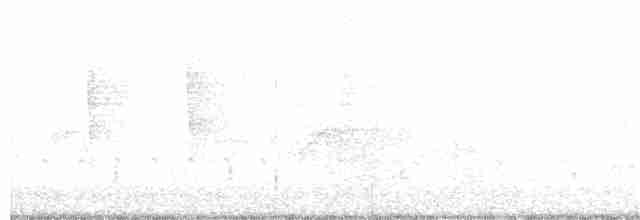 Канюк ширококрилий (підвид platypterus) - ML156502281