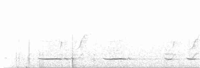 Сичик-горобець андійський - ML156518371