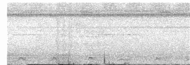 Lacivert Kuyruklu Trogon - ML156549691