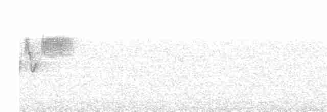 Cerulean Warbler - ML156659951