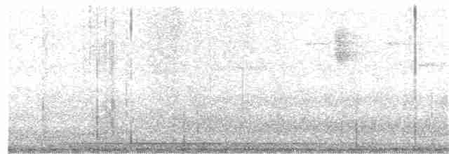 Pouillot de Swinhoe, P. boréal ou P. du Kamtchatka - ML156741691