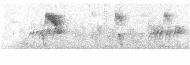 Личинкоїд сірий - ML156745061