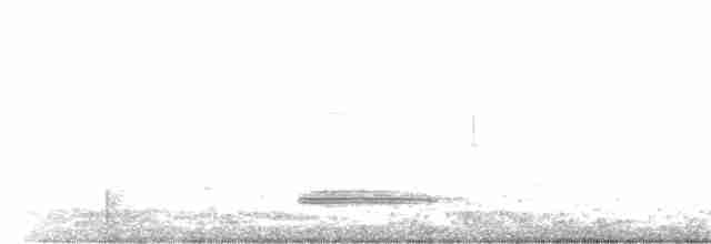 黑領椋鳥 - ML156760151