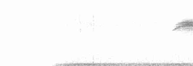 Горобець короткопалий - ML156771431