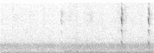 Yakut Boğazlı Kolibri - ML156825881