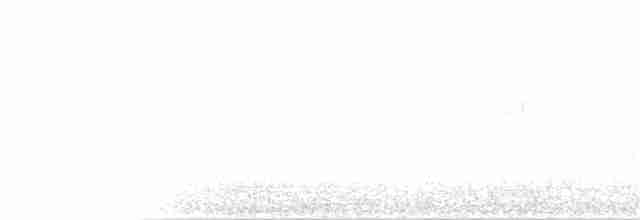 Kestane Başlı Yerçavuşu - ML156836711