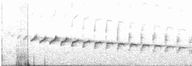 Каньонный крапивник - ML156911161