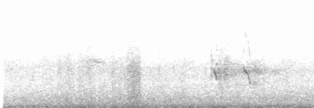 Roseate Tern - ML156922991