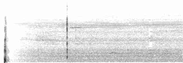 Tüpfelkronen-Ameisenvogel - ML156954511