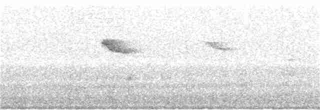 Common Kingfisher - ML157015791