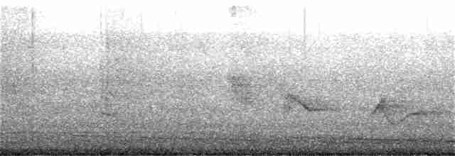Чернокрылая пиранга - ML157037001