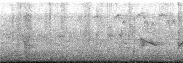 Чернокрылая пиранга - ML157037031