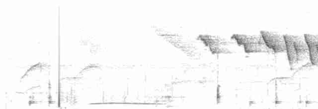 Толимская голубка - ML157053901