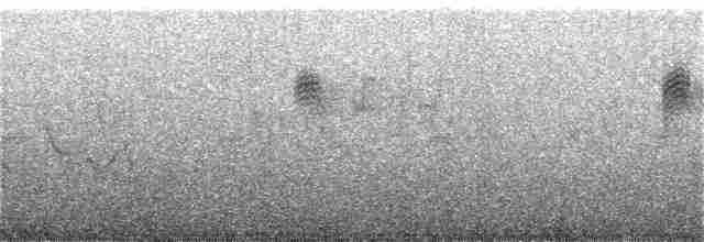 Brown Dipper - ML157075781