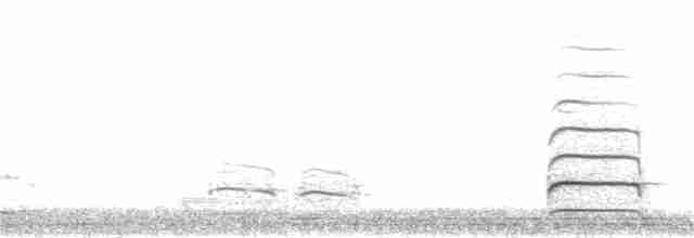 ハジロオオシギ（inornata） - ML157097321